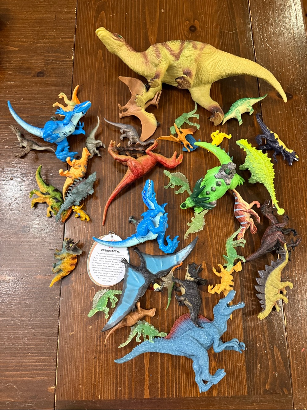 Assorted Colorful Dinosaur Toy Set - Kids Toys